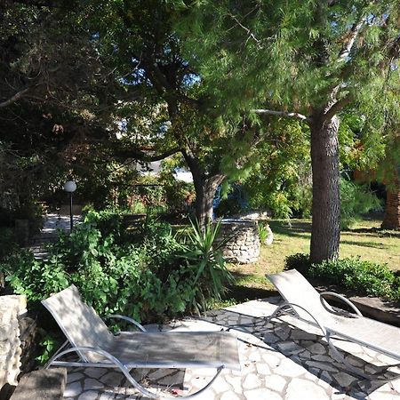 Villa Theodora View Apartments Zeys アギオス・ゲオルギオス・パゴン エクステリア 写真