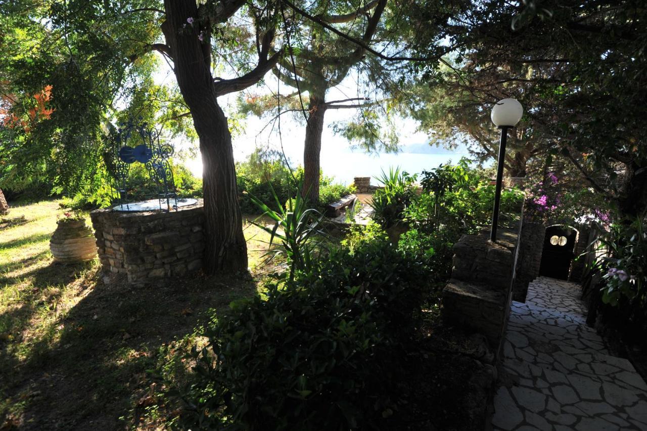 Villa Theodora View Apartments Zeys アギオス・ゲオルギオス・パゴン エクステリア 写真